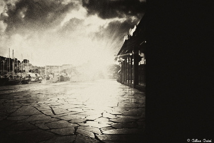 imm009 N9-Modifier web ©creze