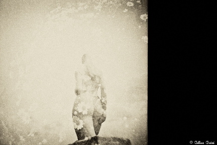 imm014 N14-Modifier web ©creze