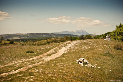 Balade autour des bergeries de Redortiers du Contadour sur les hauteurs de Banon