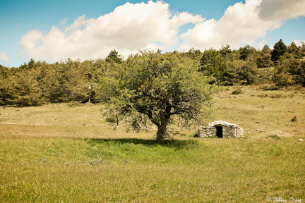 Balade autour des bergeries de Redortiers du Contadour sur les hauteurs de Banon