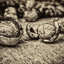 Photo - Séries artistiques